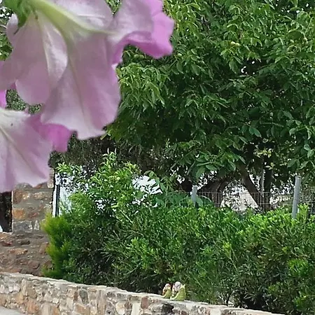 Studios Elianthos Skála Kallirákhis Dış mekan fotoğraf