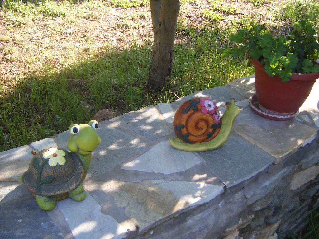 Elianthos * Skala Kallirakhis