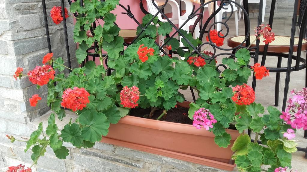 Appartamento Elianthos *