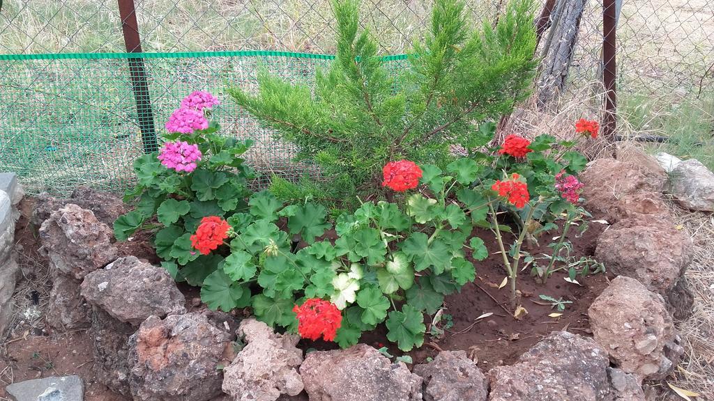 Apartment Elianthos